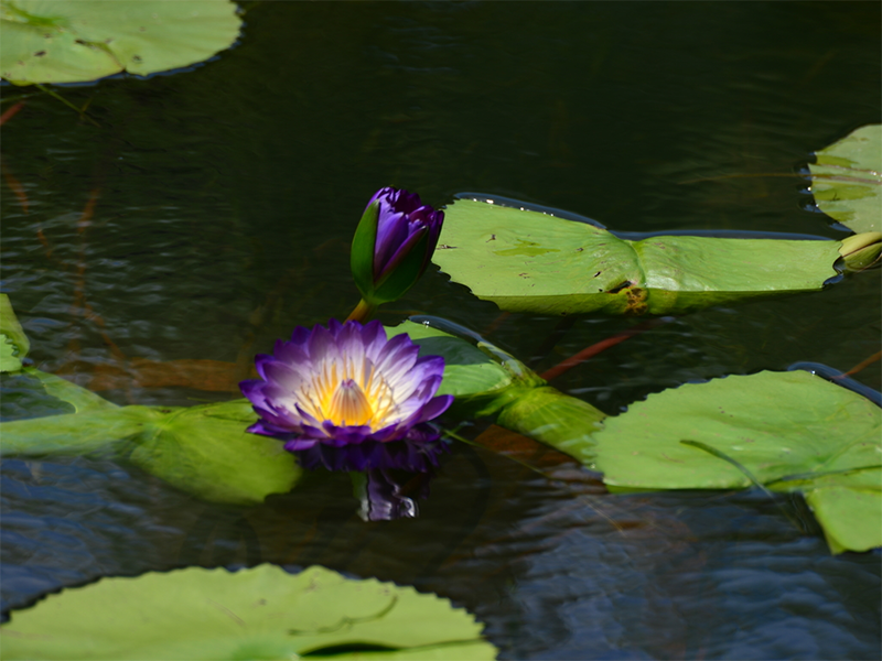 1650351471139607.png 6e8gc2T9Q7F.png