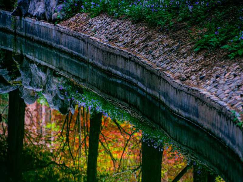 COD总磷测定仪应用领域