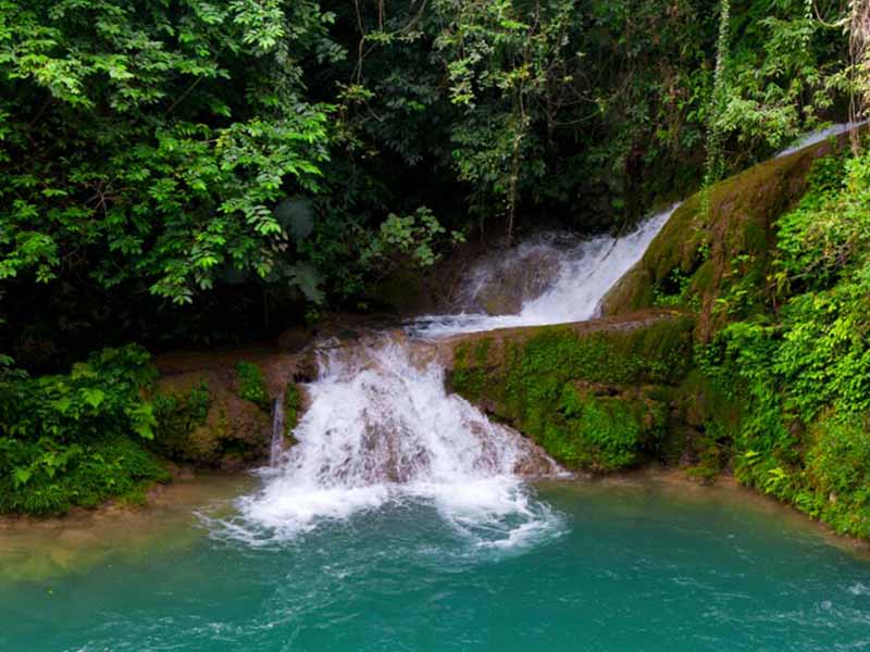 600多家茅台酒企超排废水被整顿关停 600多家茅台酒企超排废水被整顿关停
