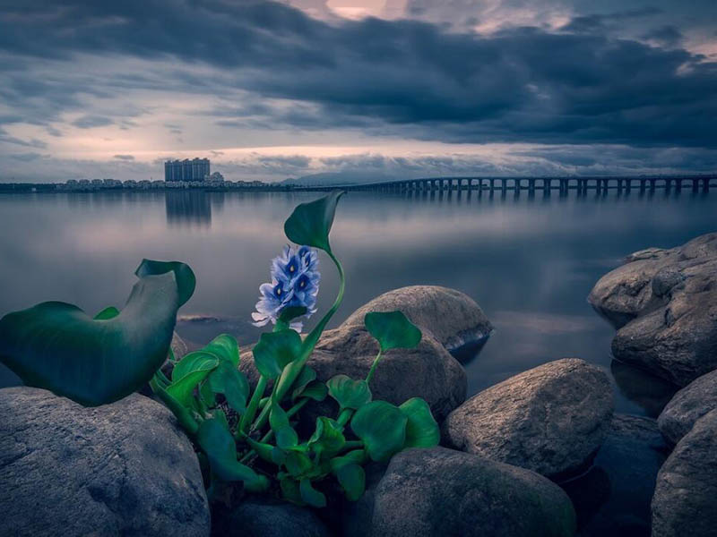 COD在线监测仪操作规范 COD在线监测仪操作规范