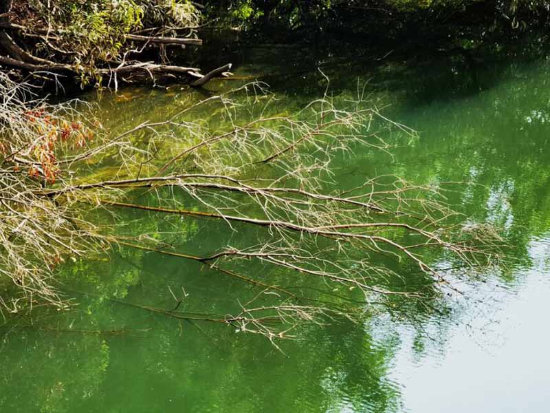 水质氨氮测定仪检测步骤 水质氨氮测定仪检测步骤