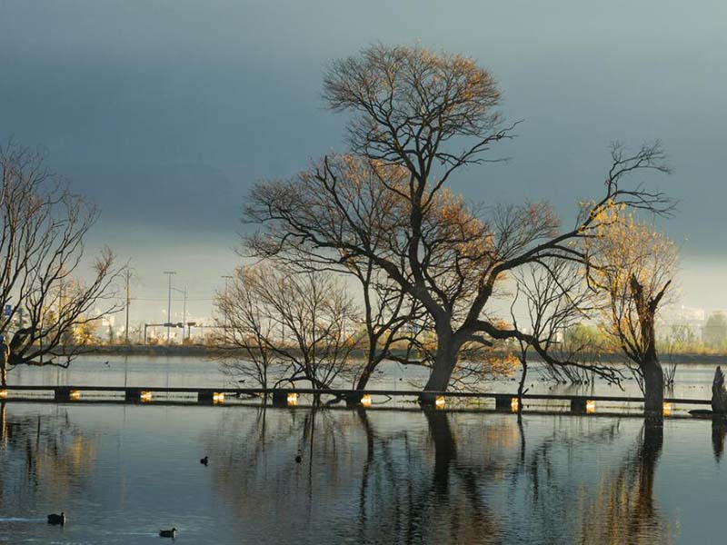 红外分光测油仪检测的准确吗 红外分光测油仪检测的准确吗