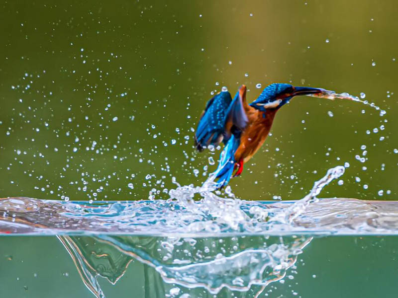 浊度会影响总磷在线监测仪的准确度吗 浊度会影响总磷在线监测仪的准确度吗