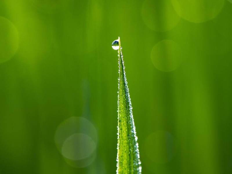 有效氯检测仪怎么用