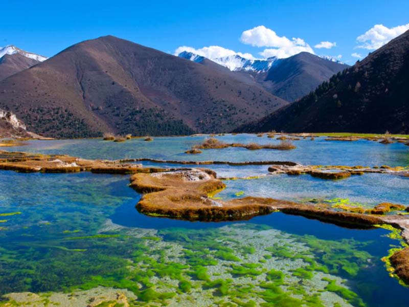 水质粪大肠菌群检测的标准限值