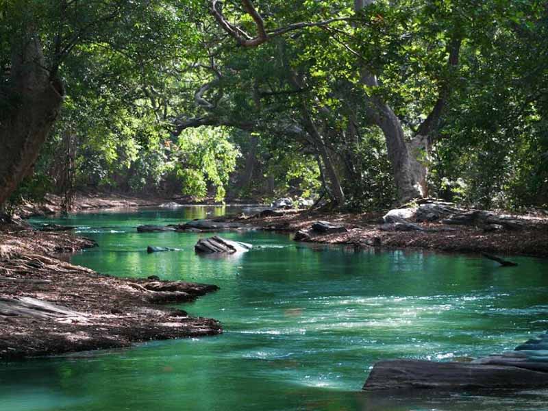 总磷测定国家标准