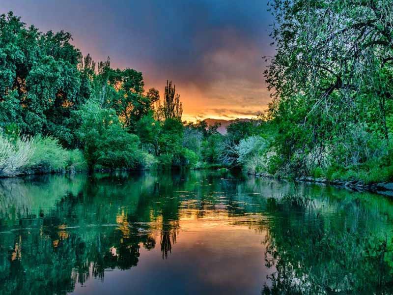 水质重金属检测方法