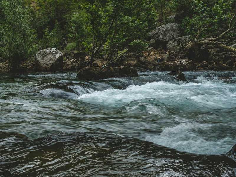 总磷超标的主要原因