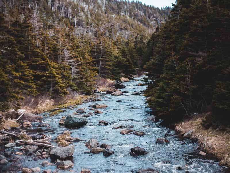 氨氮测定仪使用应注意的细节