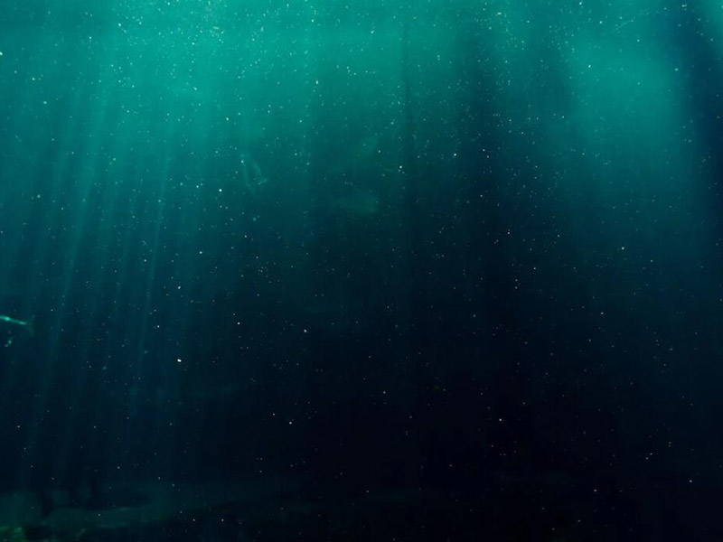 氨氮在线监测仪使用常见故障