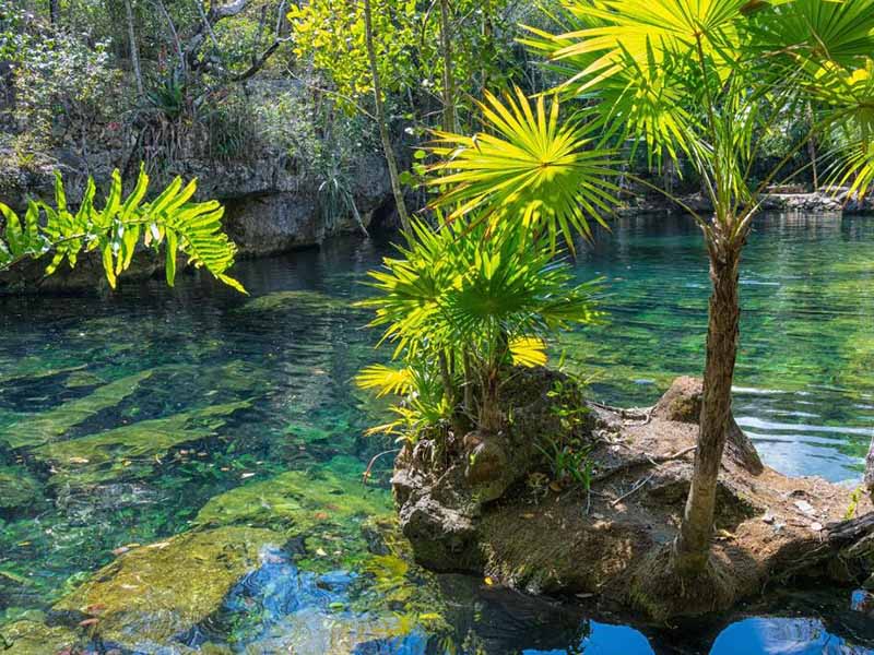溶解氧高低说明水质如何