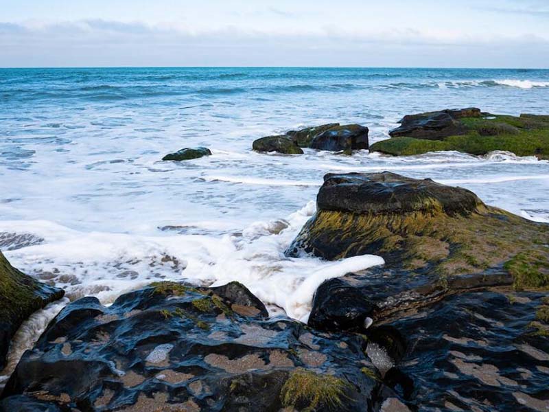 COD氨氮总磷总氮检测仪价格