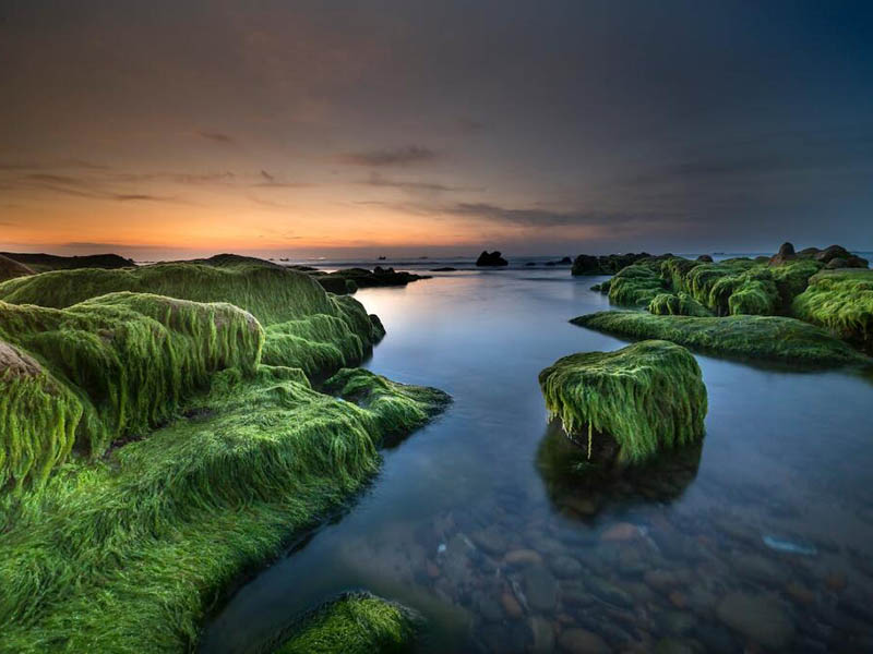 总磷快速测定仪怎么用