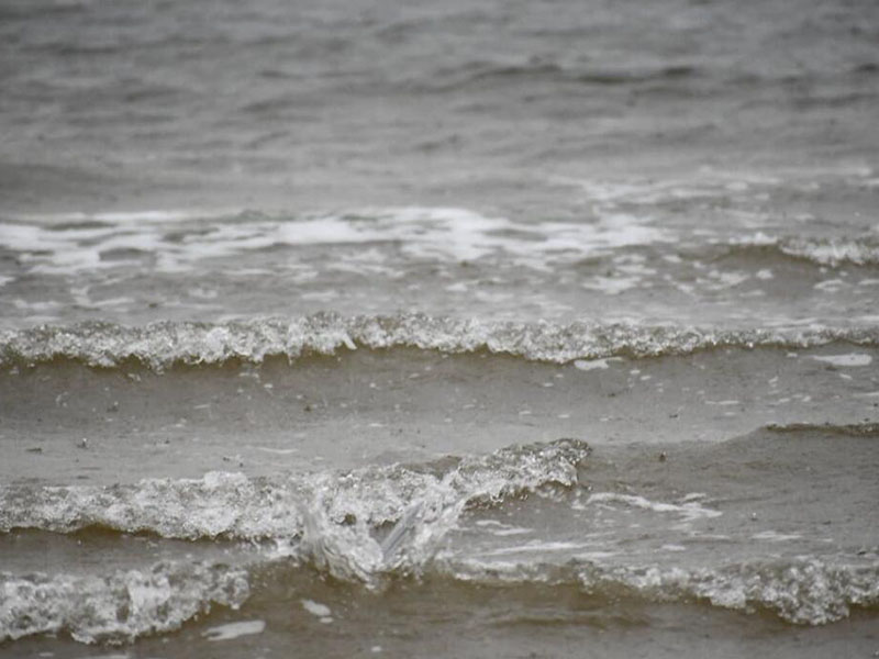 如何制备BOD5的稀释水