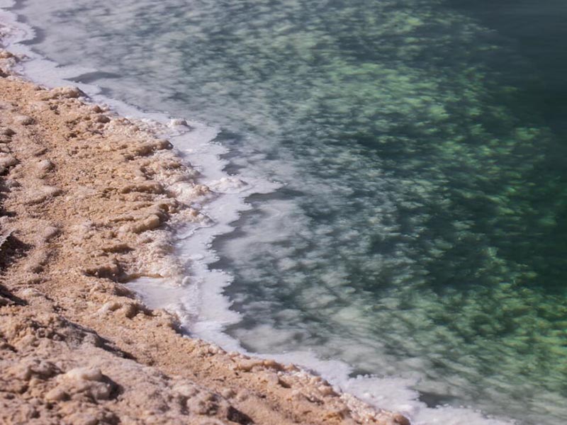 水中蓝绿藻检测仪的作用