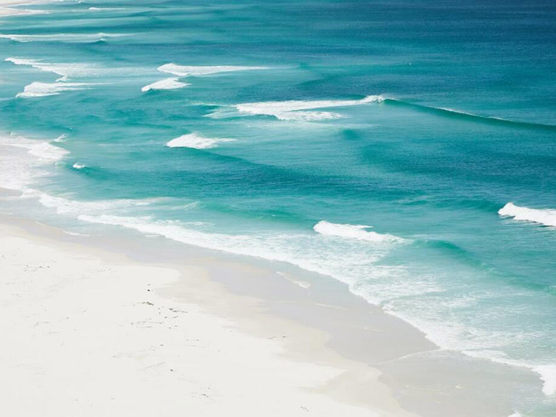 化学需氧量COD的概念