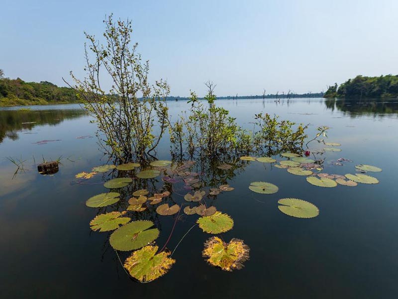 水产养殖氨氮的产生原理