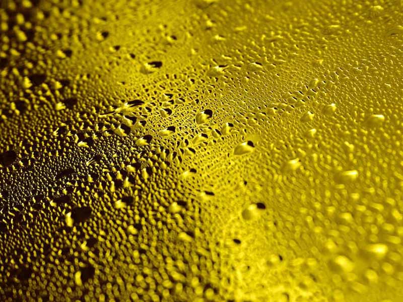 水质细菌微生物检测仪原理