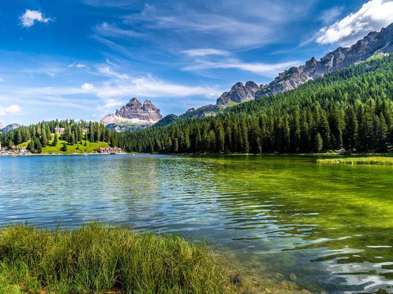 水质BOD5的测定方法