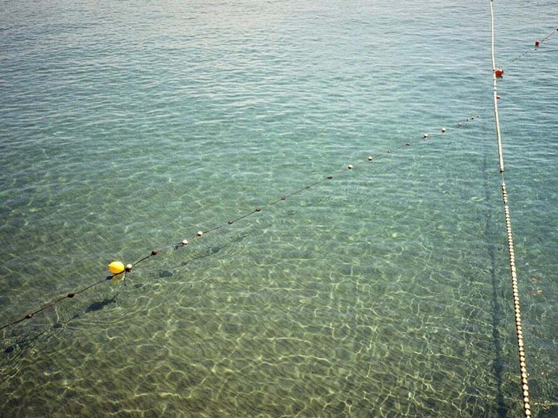 水产养殖为什么要检测水温