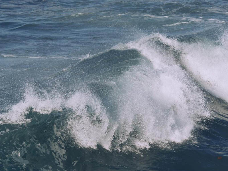 氨氮检测仪数据相同怎么办