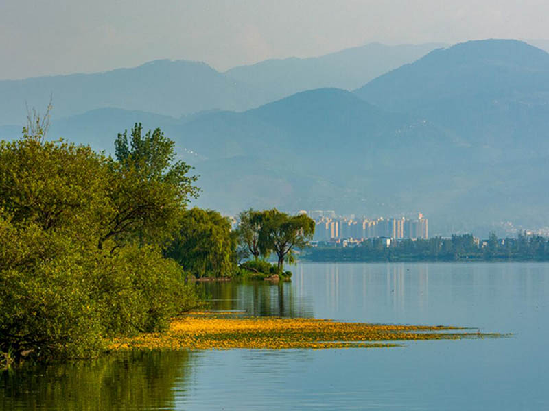 总磷测定仪检测步骤