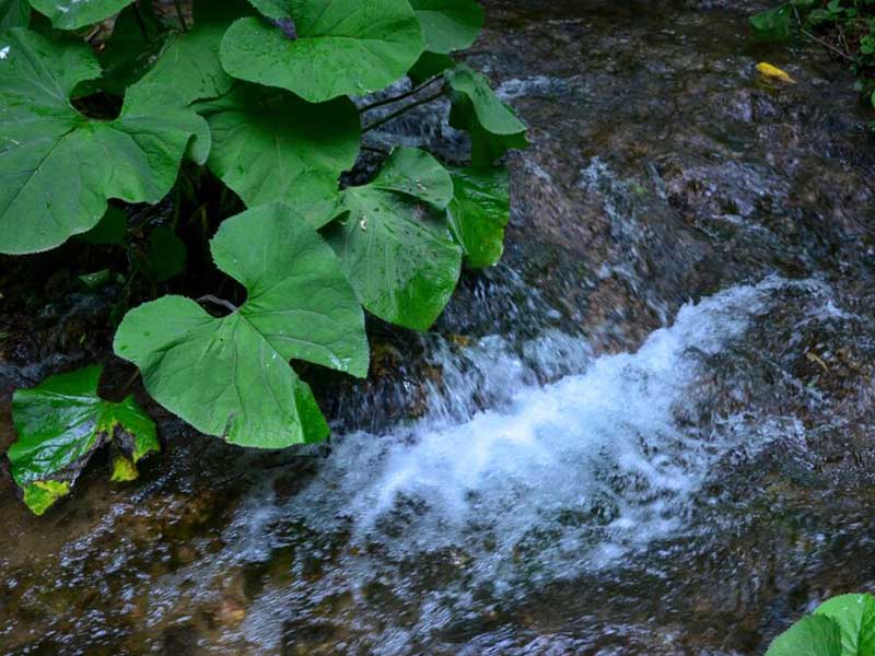氨氮测定仪检测试剂如何选择