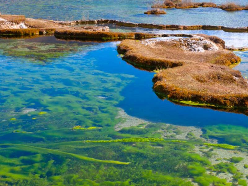 氨氮检测结果是以氮元素计吗
