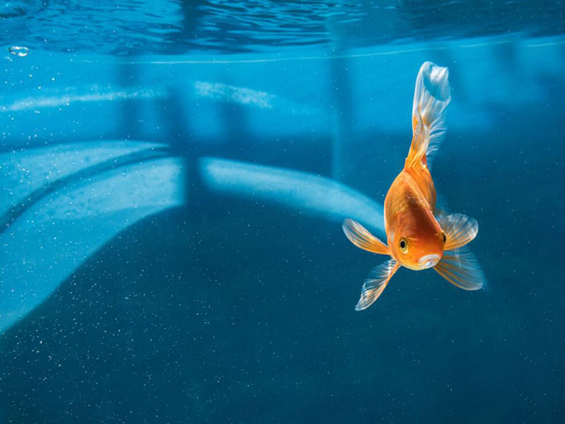 荧光法溶解氧检测仪操作注意事项