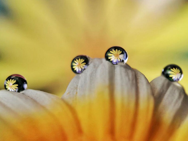 水质检测试剂使用常见问题汇总