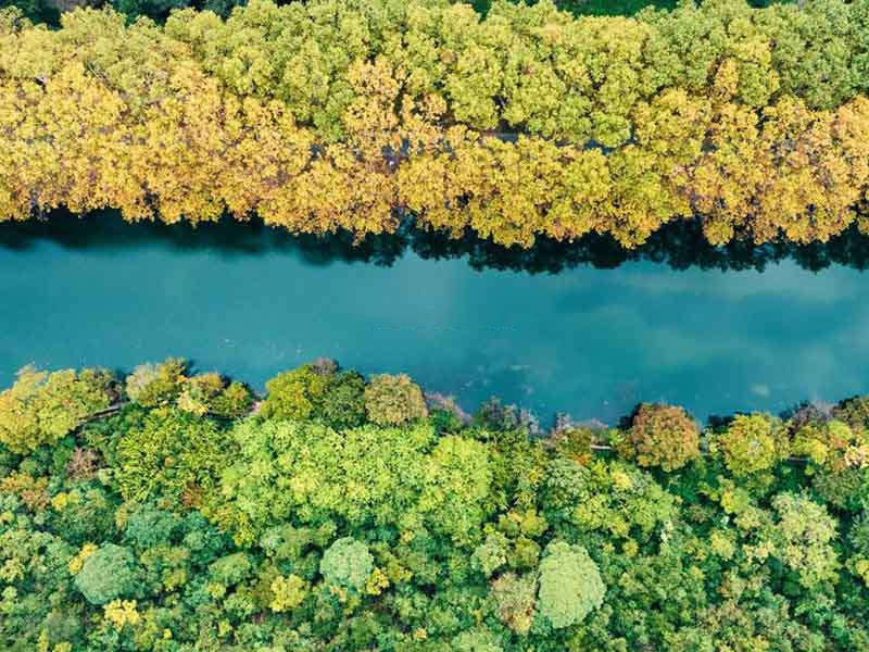 CODMn和CODcr的区别