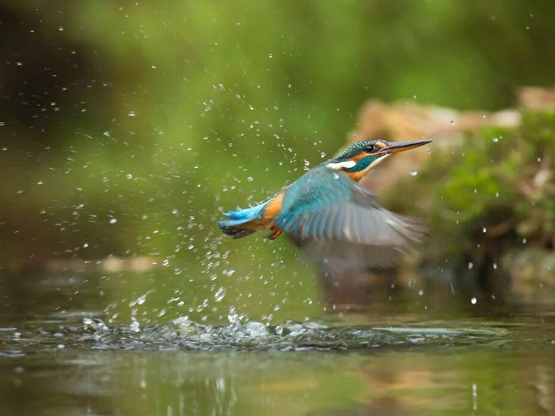 总磷检测仪选购技巧