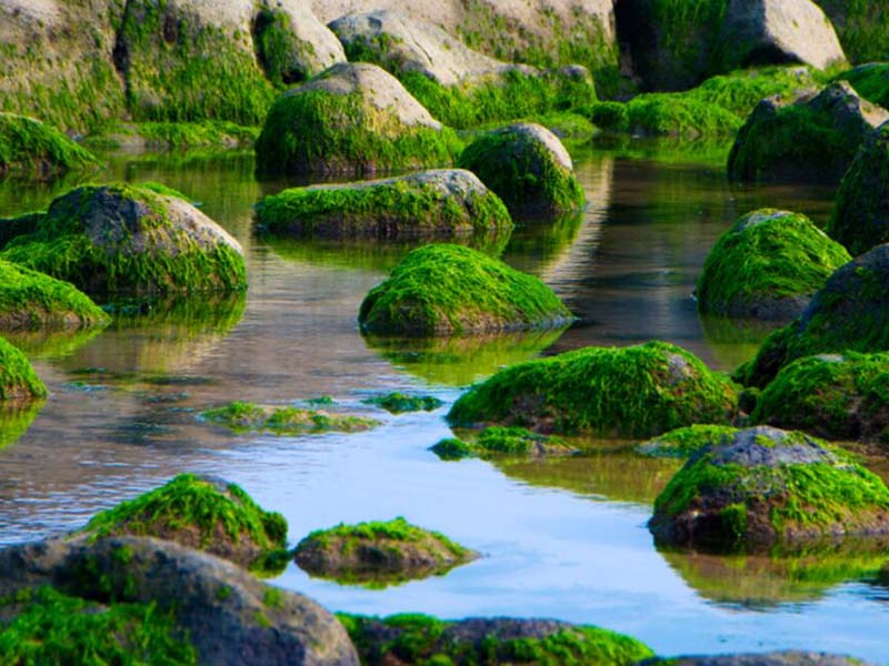 污水氨氮排放标准