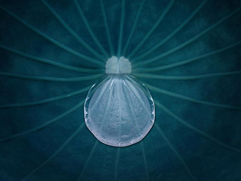 pH检测仪的主要特点