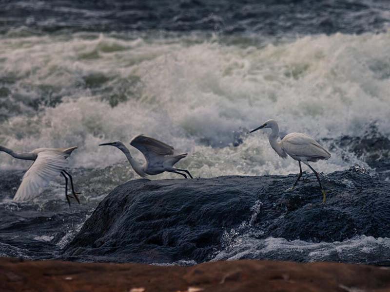 污水处理BOD5标准值