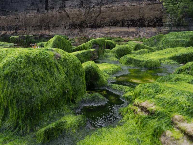 废水总磷超标如何处理