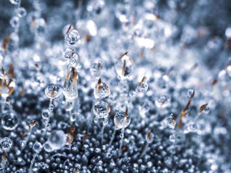 【仪器操作】如何提升总有机碳TOC分析仪的准确度