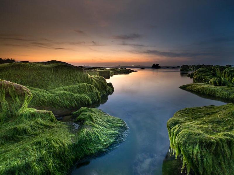 比色法测定水中挥发酚的流程