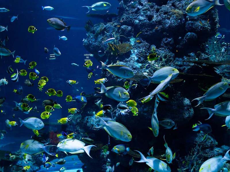 如何正确使用手持式水质重金属检测仪