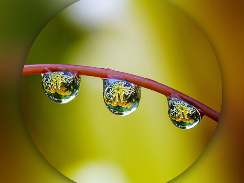 水中总有机碳分析仪操作指南