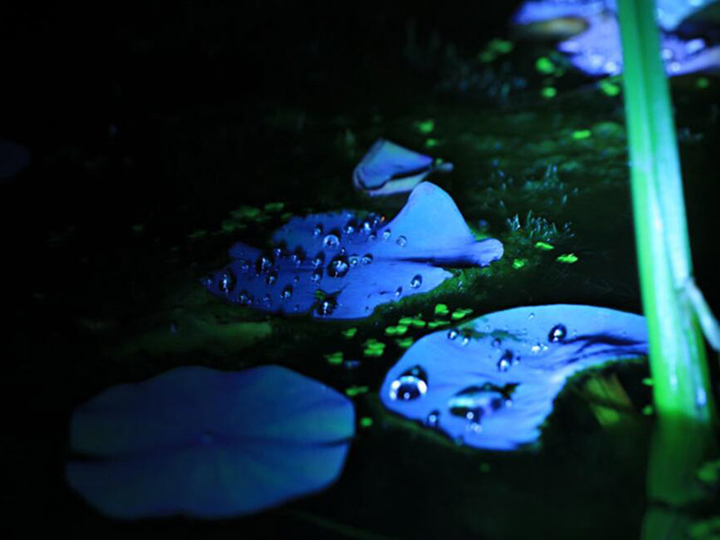 水中油分浓度分析仪常见故障分析