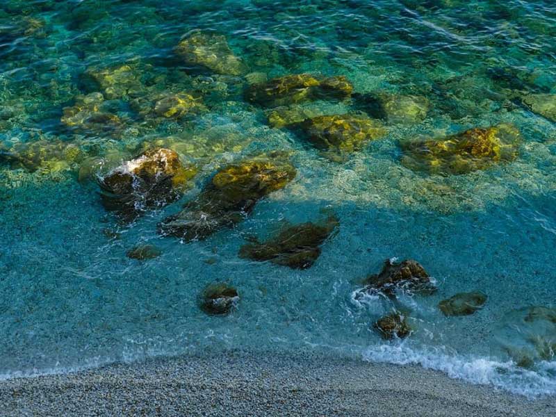 水体总氮超标原因及解决办法