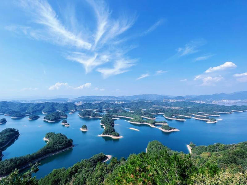 水中总氰化物是什么