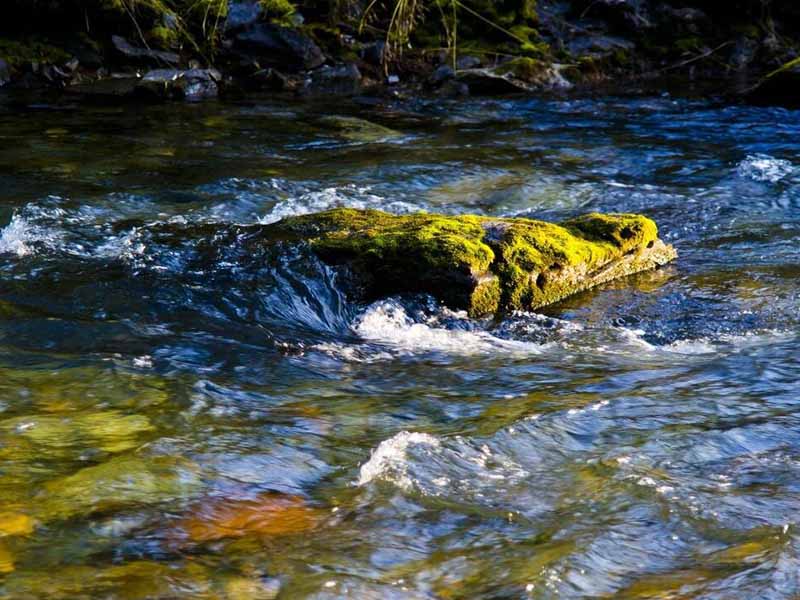 水质COD检测仪如何保养