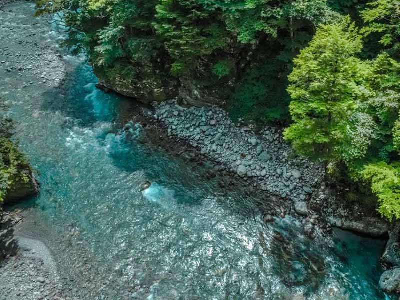污水生物毒性检测的重要性