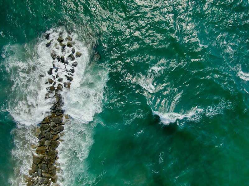 发光细菌检测仪核心原理