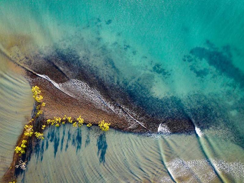 总氮测定仪的作用