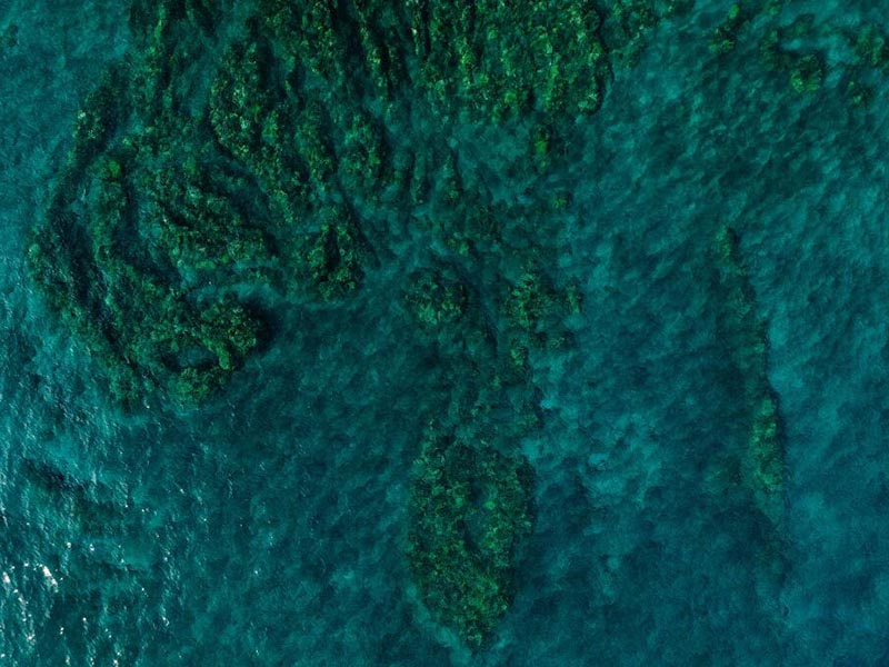 总磷检测样品采集与保存