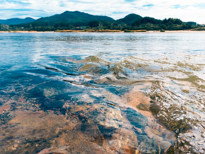 半岛综合体育合法吗
分类与功能