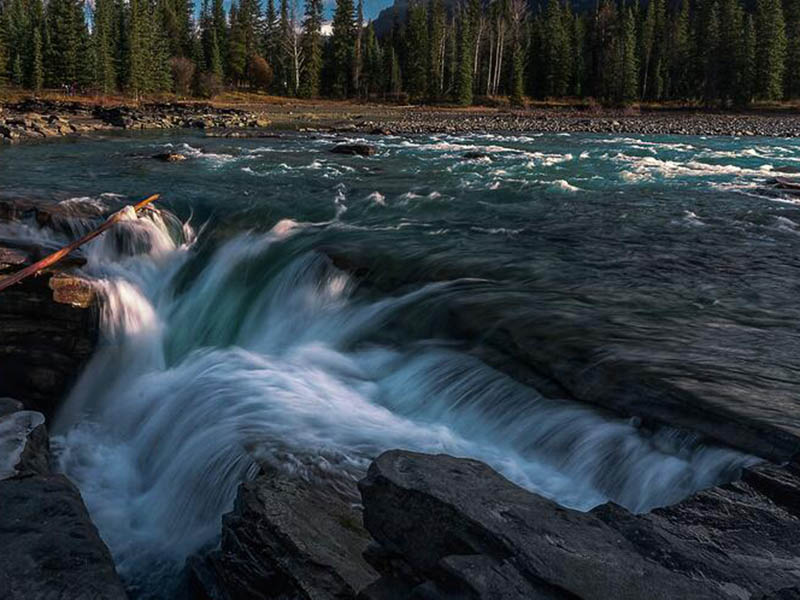 COD检测仪的用途
